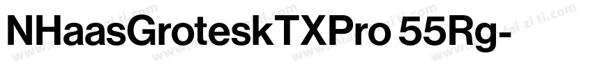 NHaasGroteskTXPro 55Rg字体转换